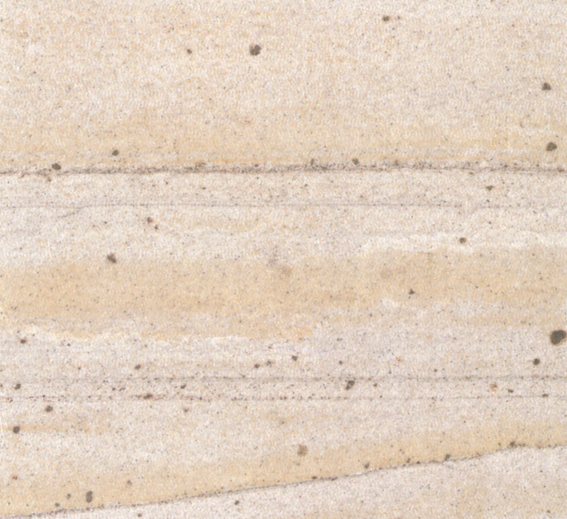 灰木纹砂岩 | gray Wood Grain Sandstone | 